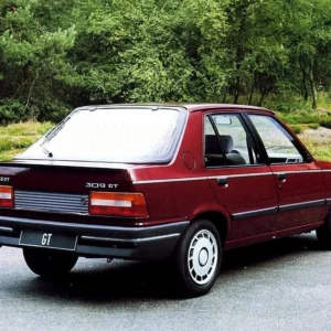 Precut Tint Film Kit For Peugeot 309 5 Doors From 1985 1994 Precut tint film kit for Peugeot 309 5 Doors from 1985-1994